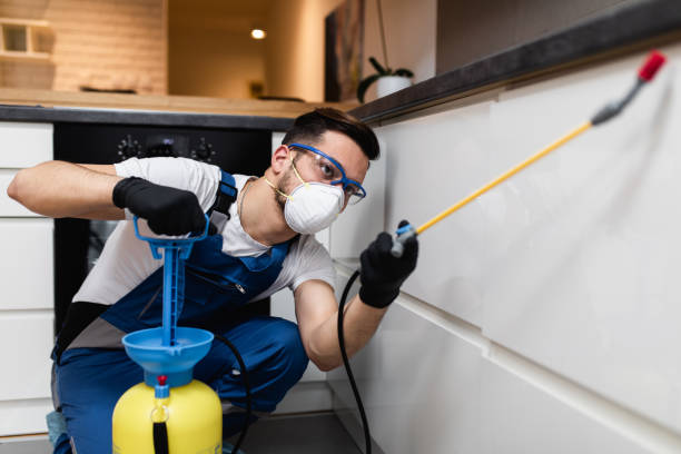 Best Termite Control Services  in Haughton, LA