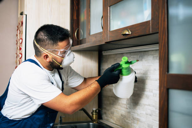 Best Residential Pest Control  in Haughton, LA