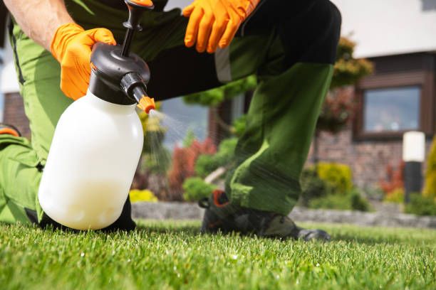 Best Commercial Pest Control Services  in Haughton, LA