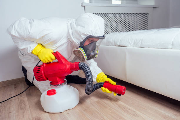 Trusted Haughton, LA Pest Control Experts