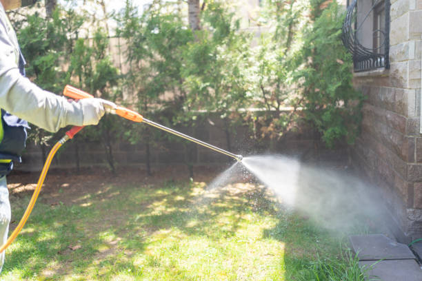 Best Flea Control Services  in Haughton, LA