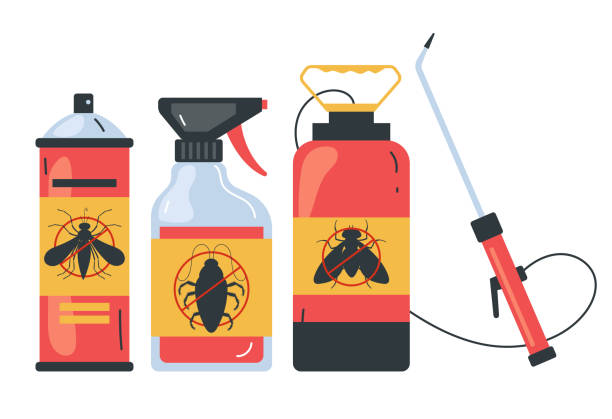 Insect Control in Haughton, LA