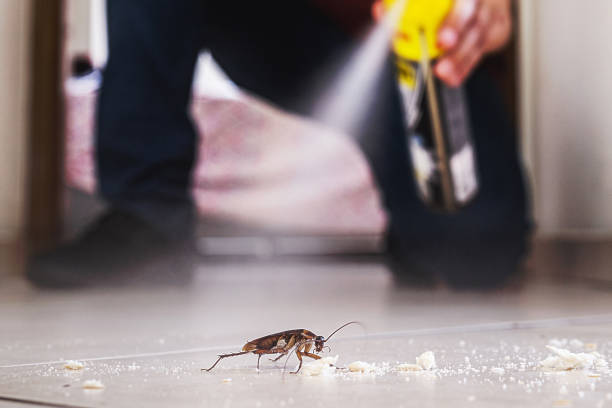 Wildlife Control Services in Haughton, LA