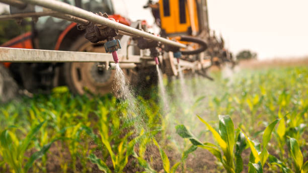 Best Best Pest Control Companies  in Haughton, LA